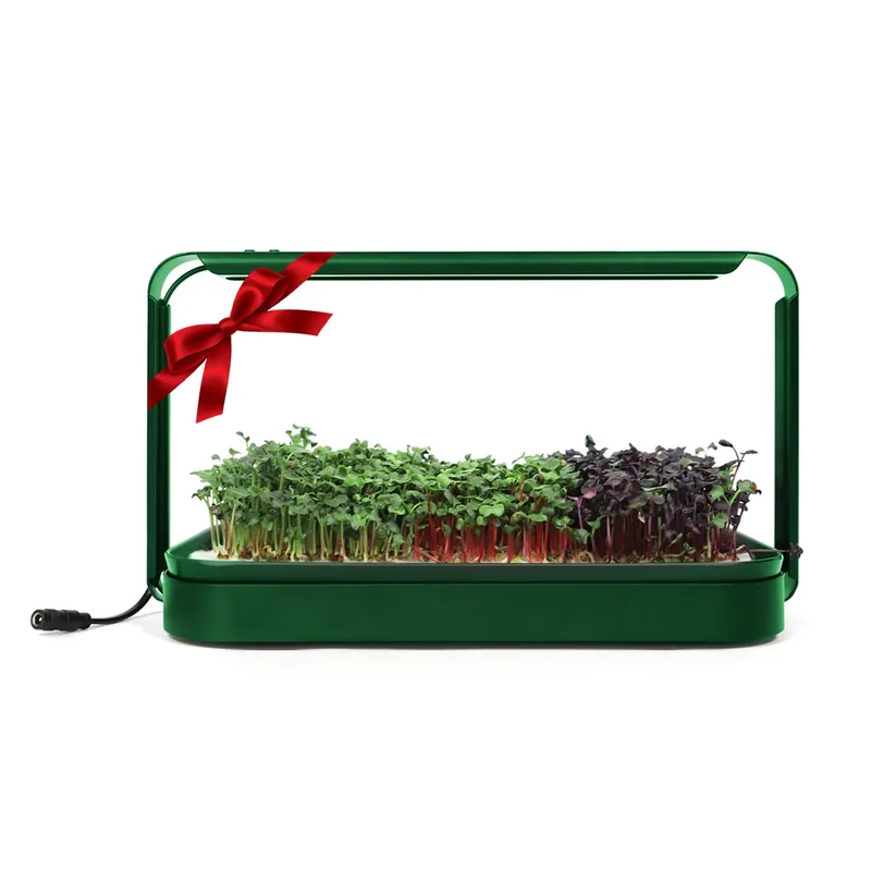 Christmas Gift Ideas Diy Home  - огляд і ціна Smart Garden Ideas