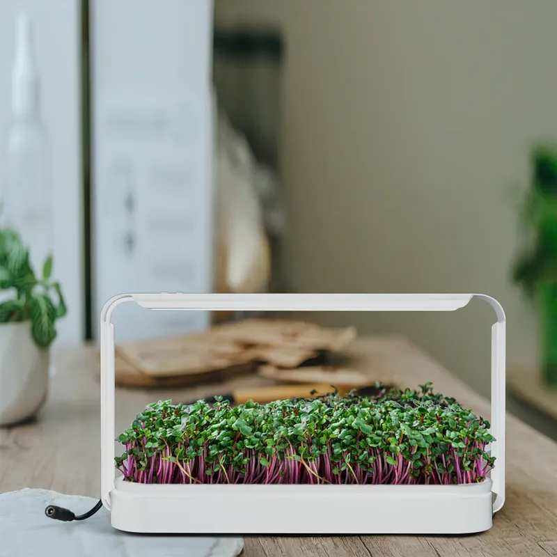 Indoor Herb Garden Grow Light  - огляд і ціна Smart Garden Ideas