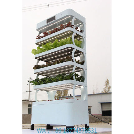 arming Home Hydroponic Growing - огляд і ціна Smart Garden In Home